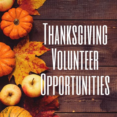 Thanksgiving Volunteer Work